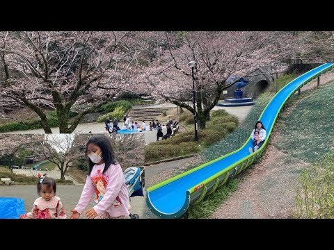 🏞️ 세리가야 공원 이미지 5